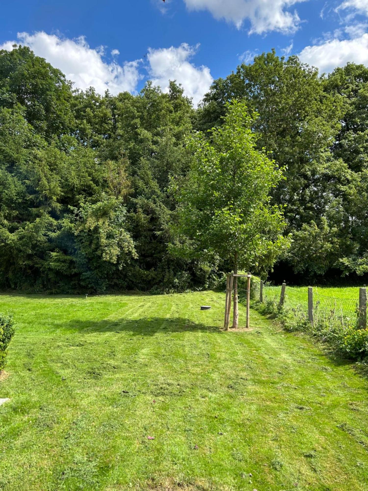 Ferienhaus Typ - Finnhuette Muhl Rosin Zewnętrze zdjęcie